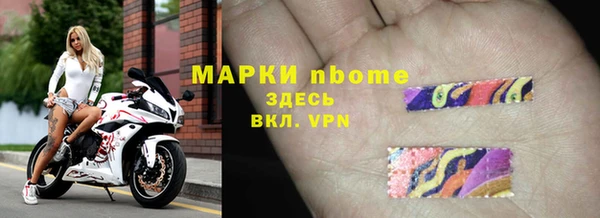 СК Зеленокумск