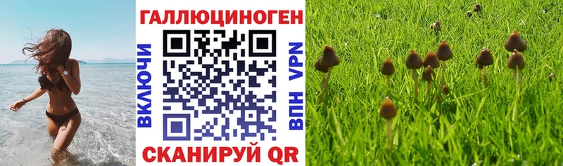 Псилоцибиновые грибы мицелий  Карабаш 
